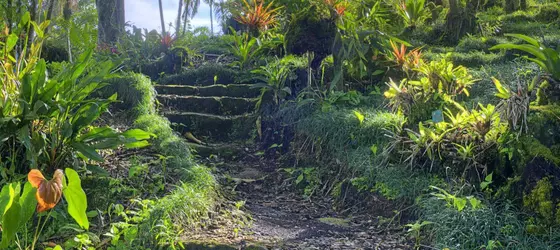 Las Cruces Biological Station | Puntarenas (ili) - San Vito