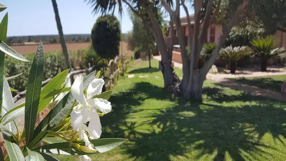 Finca Son Sala | Balearic Adaları - Mayorka Adası - Campos - Migjorn