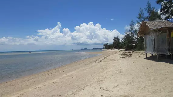 The Bloom | Surat Thani (vilayet) - Koh Phangan