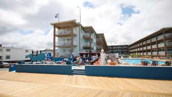 Flagship Oceanfront | Maryland - Ocean City (ve civarı) - Ocean City