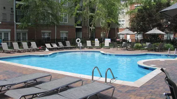 Global Luxury Apartments near Mill River Park | Connecticut - Stamford (ve civarı) - Stamford