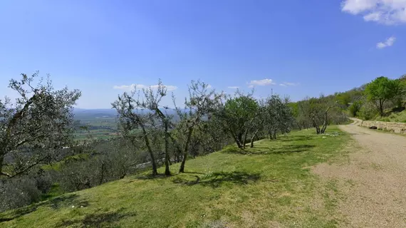 Villa Noceta | Toskana - Arezzo (vilayet) - Castiglion Fiorentino