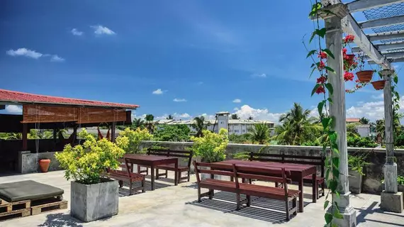 Colombo Beach Hostel | Colombo Bölgesi - Lavinia Dağı