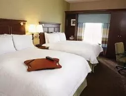 Hampton Inn and Suites Whitefish | Montana - Whitefish (ve civarı) - Whitefish