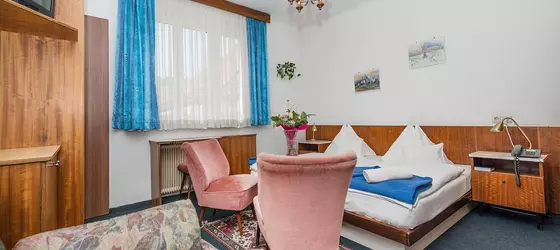 Pension Dr. Geissler | Vienna (eyalet) - Viyana - Innere Stadt