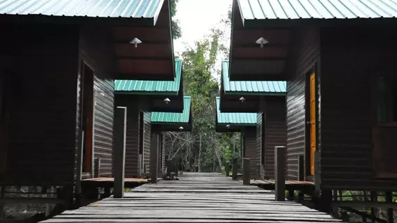 Kinabatangan Sunshine Lodge | Sabah - Kota Kinabatangan - Kampung Bilit