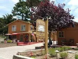 Sunset Inn | Kaliforniya - Monterey (ve civarı) - Pacific Grove