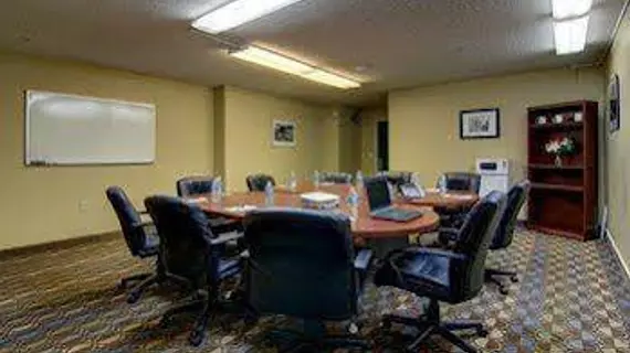 Crestwood Suites Marietta East Lake | Georgia - Atlanta (ve civarı) - Marietta