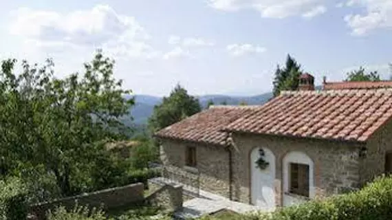 Bagnolo | Toskana - Arezzo (vilayet) - Cortona