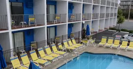 Sea Hawk Motel | Maryland - Ocean City (ve civarı) - Ocean City - North Ocean City