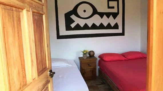 Hostel Natura | Quintana Roo - Benito Juárez - Cancun (ve civarı) - Oteller Bölgesi - Avenida Kukulkan