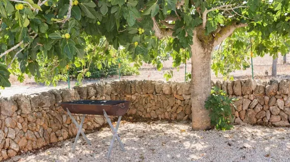 Hort de Son Fideu | Balearic Adaları - Mayorka Adası - Campos - Migjorn