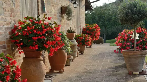 Madonna della Neve | Umbria - Perugia (vilayet) - Castiglione del Lago