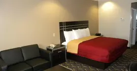 Palace Inn Kingwood | Teksas - Houston (ve civarı) - Humble