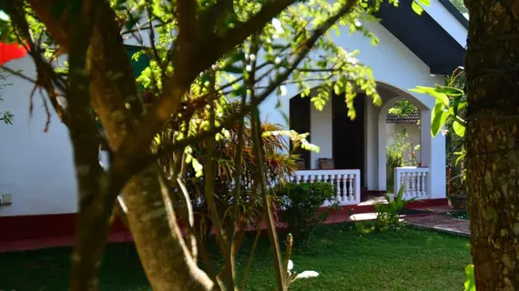 Avon Hikkaduwa Guest House | Southern Province - Galle Bölgesi - Hikkaduwa