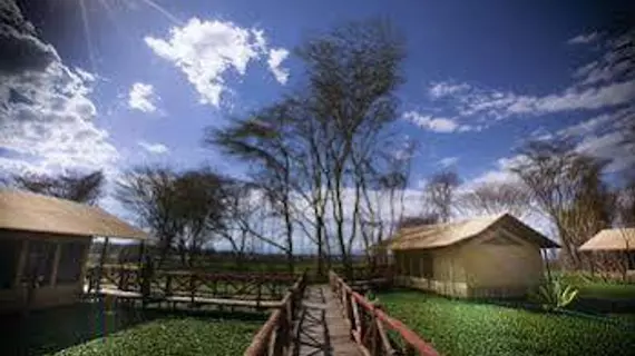 Kiboko Luxury Camp | Nakuru İlçesi - Nakuru (ve civarı) - Naivasha