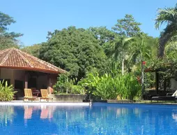 Casa Mapache B and B | Guanacaste - Tamarindo