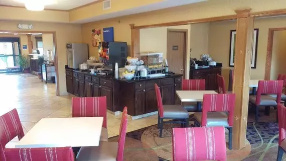 Comfort Inn | Indiana - Fort Wayne (ve civarı) - Huntington