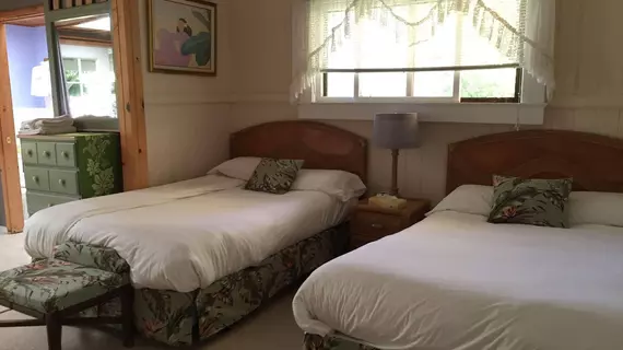 Aloha Junction Bed & Breakfast | Hawaii - Hawaii Adası - Volcano