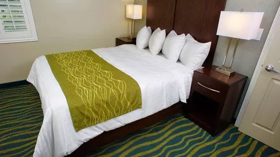 Hi View Inn & Suites | Kaliforniya - Los Angeles County - Torrance