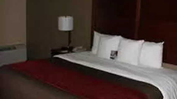 Comfort Inn Central | Kolorado - Denver (ve civarı) - Denver