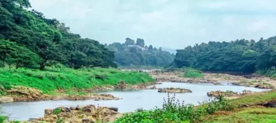 Pines Hut | Merkez Vilayet - Kandy Bölgesi - Kandy