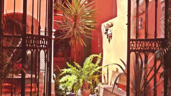 Casa Colibri | Guanajuato - San Miguel de Allende