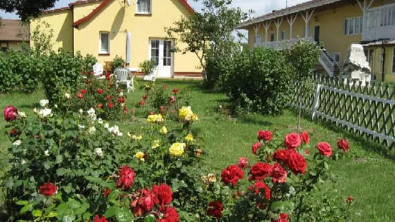 Pensjonat Stadnina Red Lion Farm | Batı Pomeranya Voyvodalığı - Swierzno - Redliny