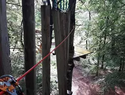 LEtape en Foret | Normandiya - Calvados (bölge) - Noues de Sienne