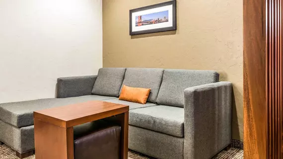 Comfort Suites Florence | Kentucky - Covington (ve civarı) - Floransa