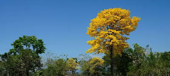 Aparthotel Herrera | Puntarenas (ili) - Puerto Jimenez