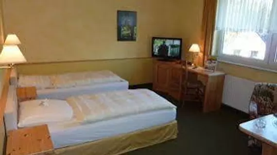 Akzent Hotel Zur Wasserburg | Aşağı Saksonya - Bremen (ve civarı) - Harpstedt