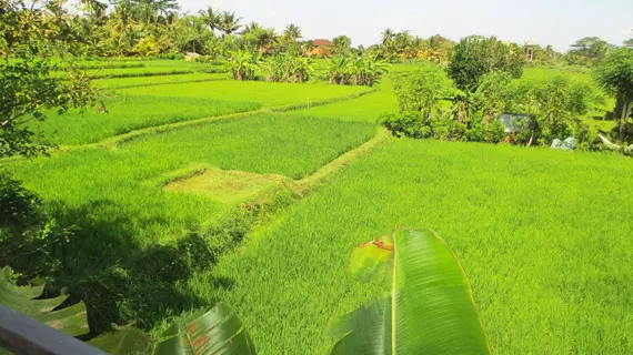 Panorama Ubud Private Villa | Bali - Ubud - Kedewatan