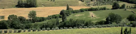 Hotel Sangallo | Toskana - Siena (vilayet) - Montepulciano