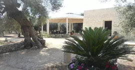 Tenuta Pigliano | Puglia - Lecce (il) - Bagnolo del Salento