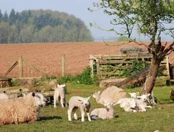 Huntlands Farm | Worcestershire (kontluk) - Worcester