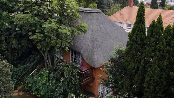 Treetops & Treats Guest House | Gauteng - City of Tshwane - Johannesburg (ve civarı) - Pretoria - Muckleneuk