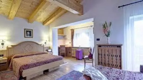 Hotel Des Alpes | Veneto - Belluno (vilayet) - Cortina d'Ampezzo