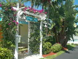 Pineapple Place | Florida - Fort Lauderdale (ve civarı) - Pompano Beach