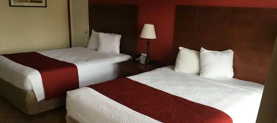 Summer Wind Inn & Suites | Güney Karolayna - Myrtle Plajı (ve civarı) - Myrtle Beach