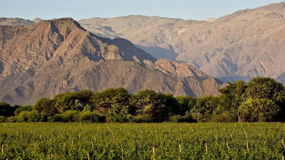 Grace Cafayate | Salta (ili) - Cafayate