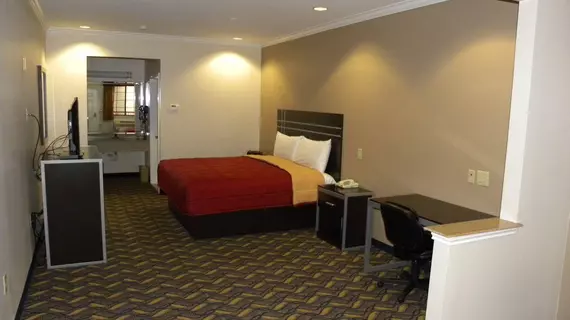 Palace Inn Kingwood | Teksas - Houston (ve civarı) - Humble