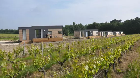 Les Pierres D'aurèle Chambres d'Hôtes | Centre - Loire Vadisi - Loir-et-Cher (bölüm) - Saint-Georges-sur-Cher