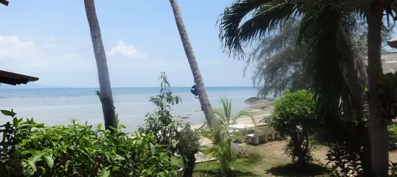 Bird Bungalow | Surat Thani (vilayet) - Koh Phangan