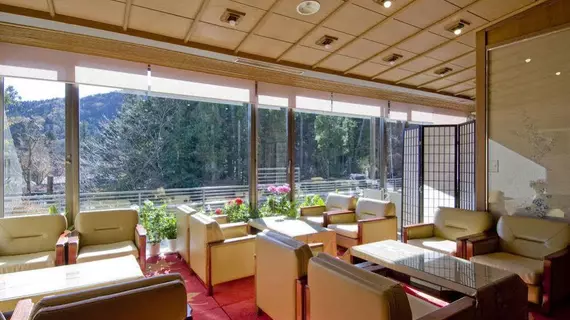 Nikko Hotel Seikoen | Toçigi (idari bölge) - Nikko