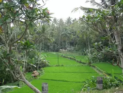 Bakung Ubud Resort and Villa | Bali - Ubud - Petulu