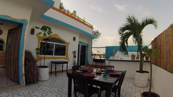 Adventure Experience Hotel | Quintana Roo - Solidaridad - Playa del Carmen