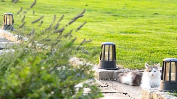 Le Domaine des Prés Verts Spa | Bourgogne-Franche-Comte - Cote d'Or (bölge) - Jouey