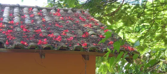 Pousada Magia Verde | Rio de Janeiro (eyaleti) - Paraty