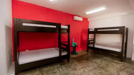 Mezcal Hostel | Quintana Roo - Benito Juárez - Cancun (ve civarı) - Cancun - Cancun Merkezi